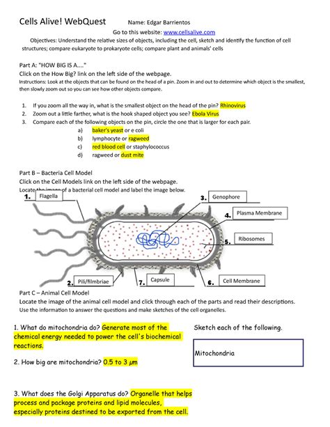 Cells, Microbes and the Immune System. . Cells webquest answer key